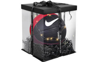 Nike Pu Basketball Multicolor Size 7 Ball Training Unisex