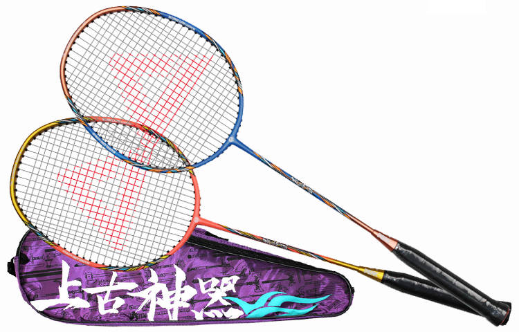 PEAK YY10409 Carbon Aluminum Badminton Rackets Control Type All around Defense Advanced Level 675mm 3UG2 Dark Blue Red