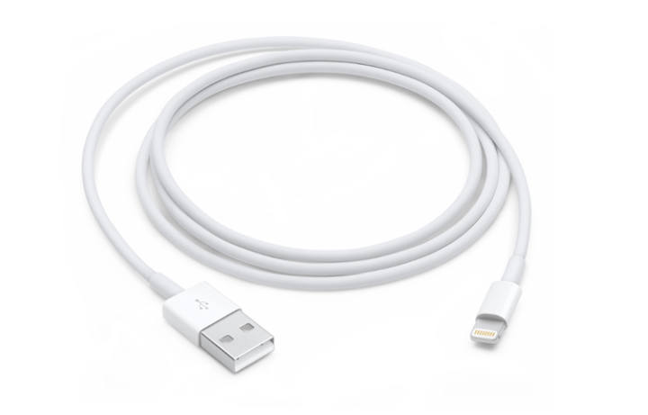 Apple Apple A To Lightning Original Lightning To USB Cable Cables