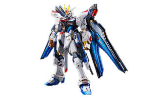 BANDAI Gundam Rg 1/144 Strike Freedom Gundam [TITANIUM FINISH] Model Kit Action Figure