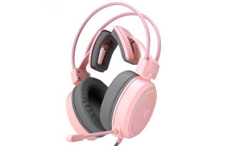 RAPOO Wired Headphones