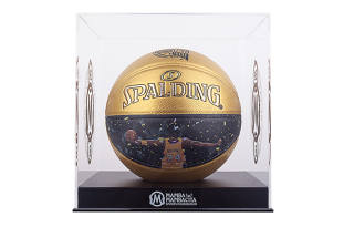 SPALDING Pu Basketball Black Gold Size 7 Training Unisex