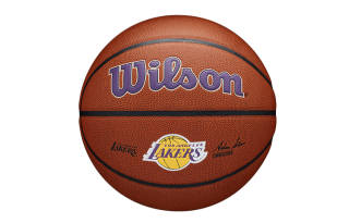 Wilson Basketball