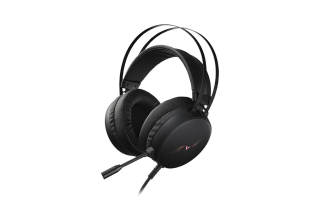 RAPOO VH310 With 7.1 Surround Sound Wired Desktop Gaming PC, Virtual Sound Positioning Head mounted