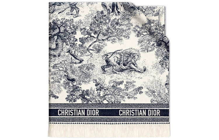 DIOR DIOR Cashmere, Wool Blend Shawls Women's Blue, Black