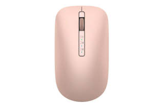 DELL Mice