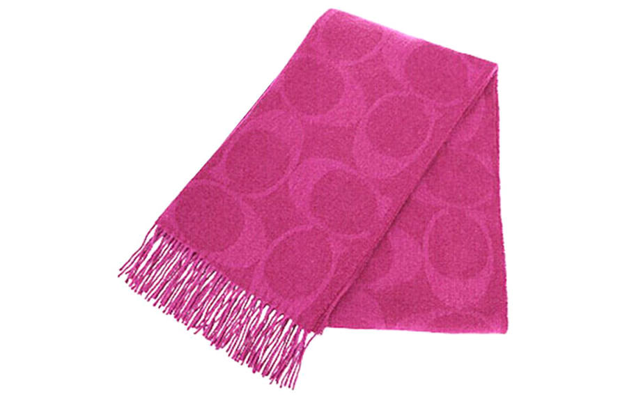 COACH COACH Knit Scarves Women's