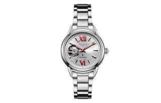 SEIKO Mechanical Movement Stainless Steel Strap Watch Women's Watch Silver Dial