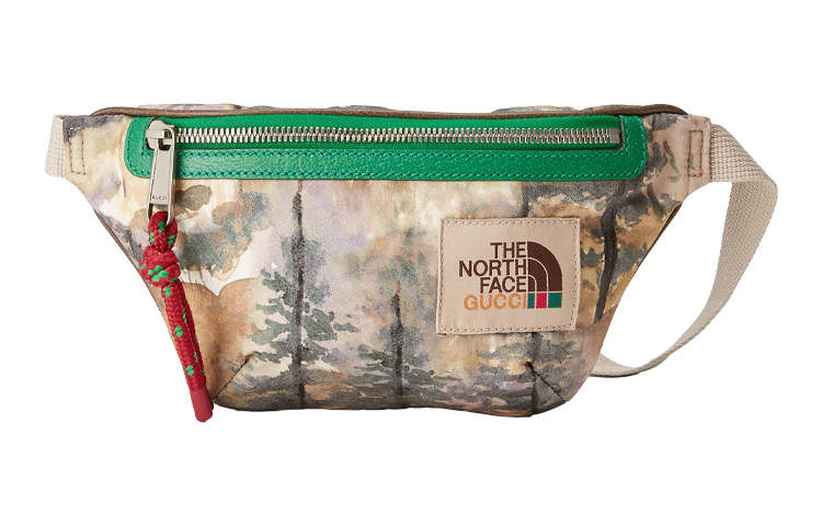 GUCCI THE NORTH FACE X GUCCI Fanny Packs