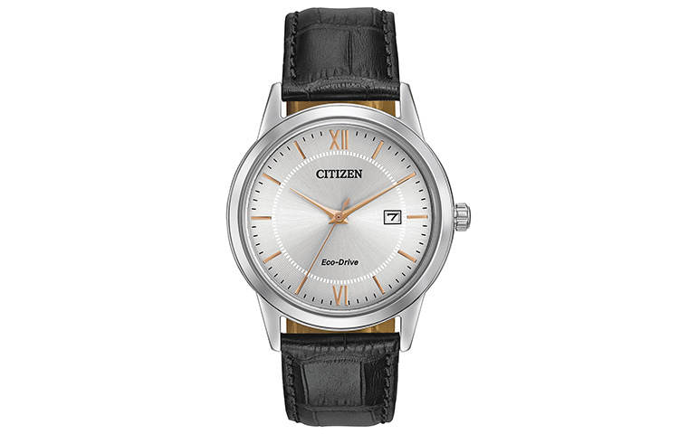 CITIZEN CITIZEN Ecology Drive Collection Light Powered Quartz Movement Genuine Leather Strap Watch