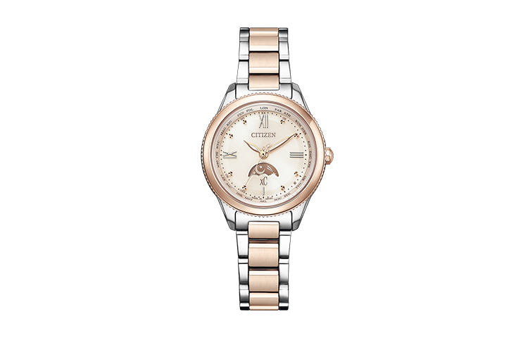 CITIZEN Ecology Drive Collection Light Powered Quartz Movement Titanium Strap Watch Women's Watch