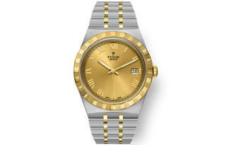 TUDOR Royal Collection Automatic Mechanical Movement Men's Watches Watch 38mm Gold Dial Steel Watch Case