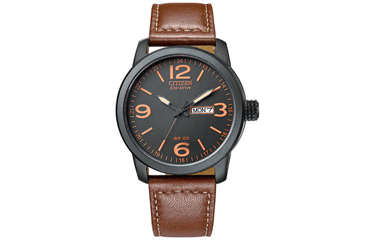 CITIZEN CITIZEN Men's Ecology Drive Collection Watch