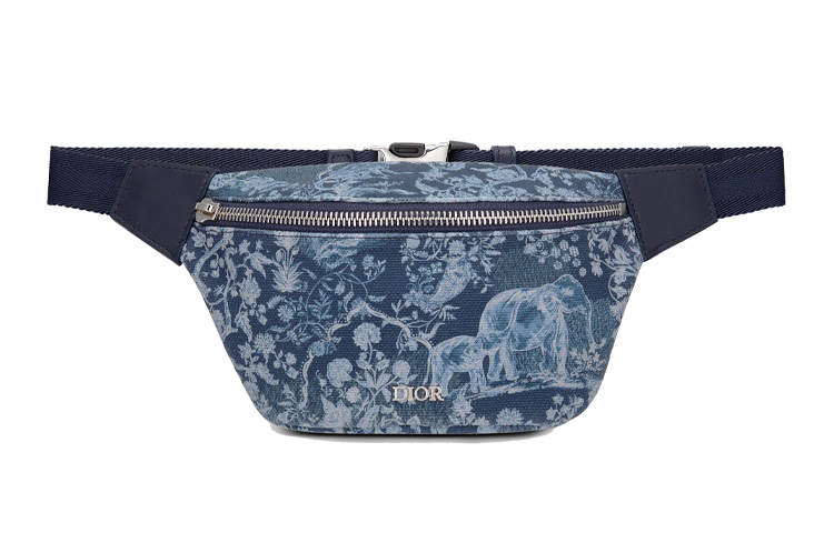 DIOR DIOR Fanny Packs