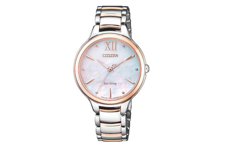CITIZEN Ecology Drive Collection Light Powered Quartz Movement Stainless Steel Strap Watch 32.5mm