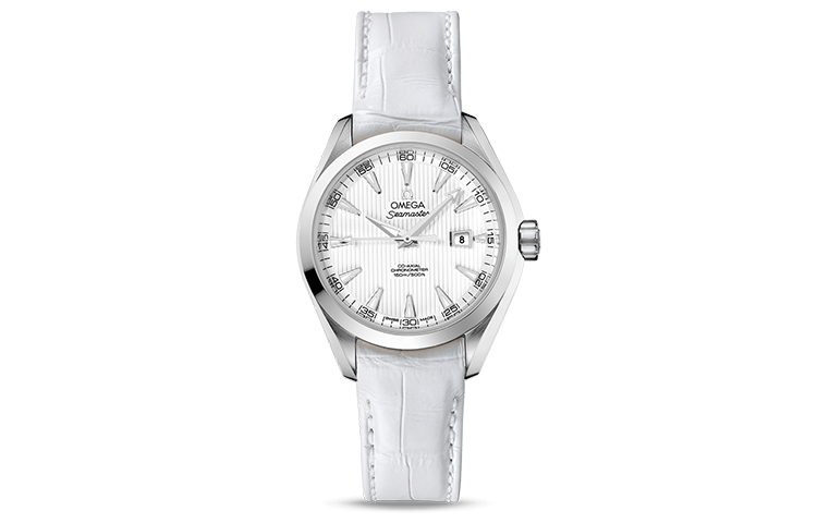 OMEGA Seamaster Aqua Terra 231.13.34.20.04.001