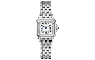 CARTIER Cheetah Collection Quartz Movement 30m Waterproof Women's Watch 22mm*30mm Silver Dial