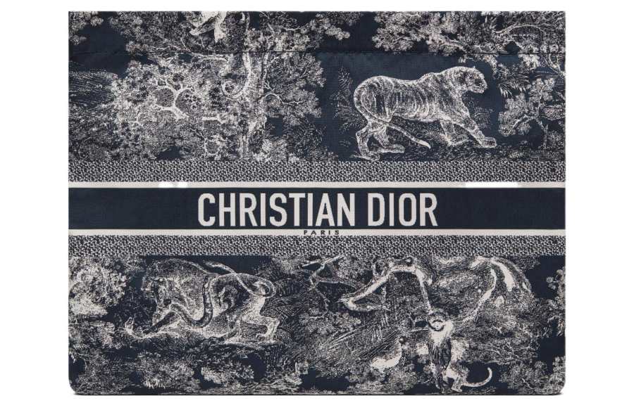 DIOR Travel Technical Fabric Coin Purse, Shoulder Bag, Clutch Regular Women's Blue