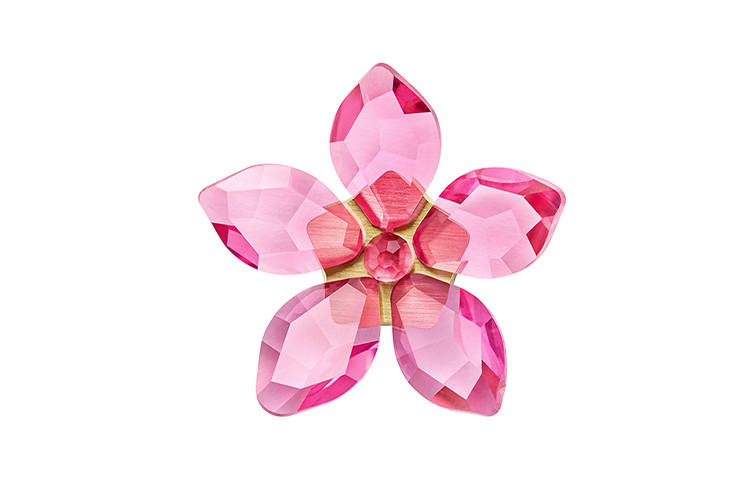 Swarovski Swarovski Desktop Ornaments