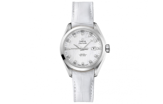 OMEGA Seamaster Aqua Terra 231.13.34.20.55.001