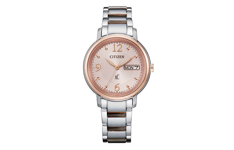 CITIZEN Ecology Drive Collection Light Powered Quartz Movement Stainless Steel Strap Watch