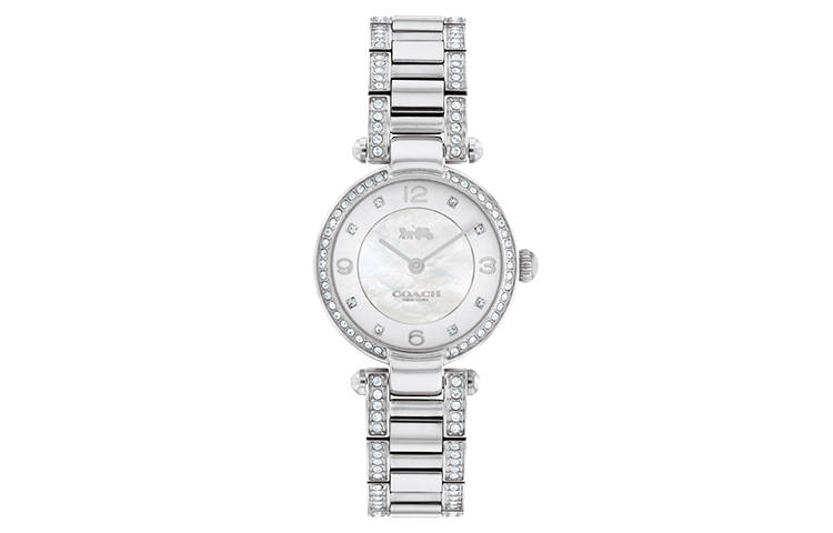 COACH Cary Wrist Watches Quartz Movement Silver Dial Women's Watch