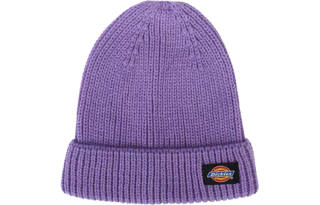Dickies Beanies Unisex