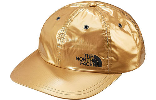 Supreme Supreme The North Face Metallic 6 Panel