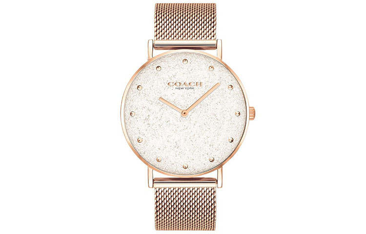 COACH Perry Wrist Watches Quartz Movement Stainless Steel Strap White Dial Women's Watch