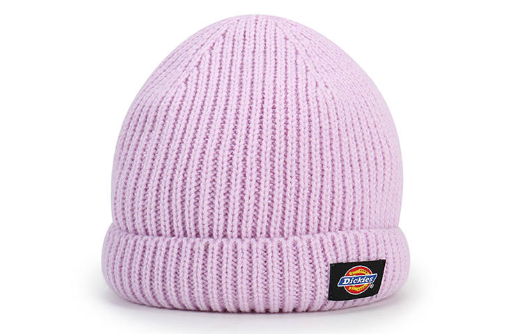 Dickies Dickies Beanies Unisex Purple
