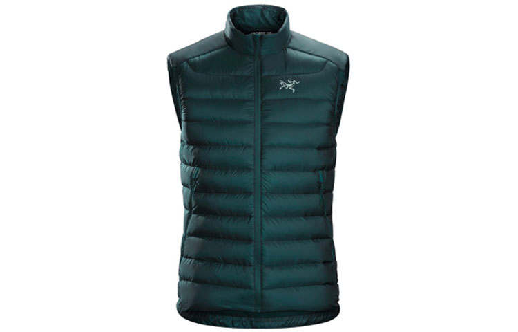 Arcteryx Arc'teryx Cerium LT Down Vest Men's