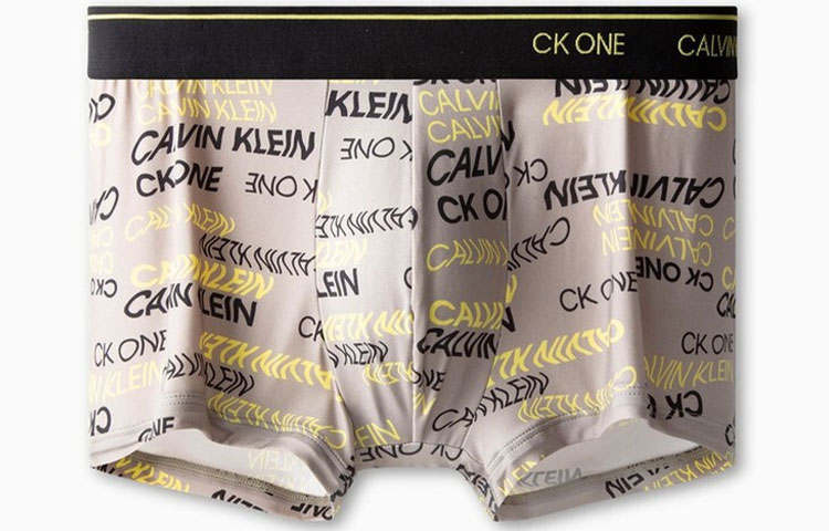 Calvin Klein CALVIN KLEIN Underpants Men's Brown