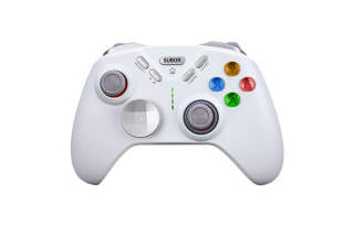 Little Bully Gamepads