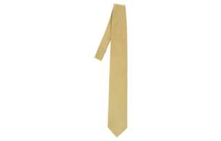 Ermenegildo Zegna Ties Men's Yellow