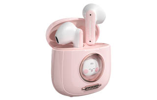 ICARER FAMILY Cat Capsule Space Capsule HIFI Sound Quality, Cute Cartoon, Passive Noise Cancellation