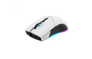 ThundeRobot Mice