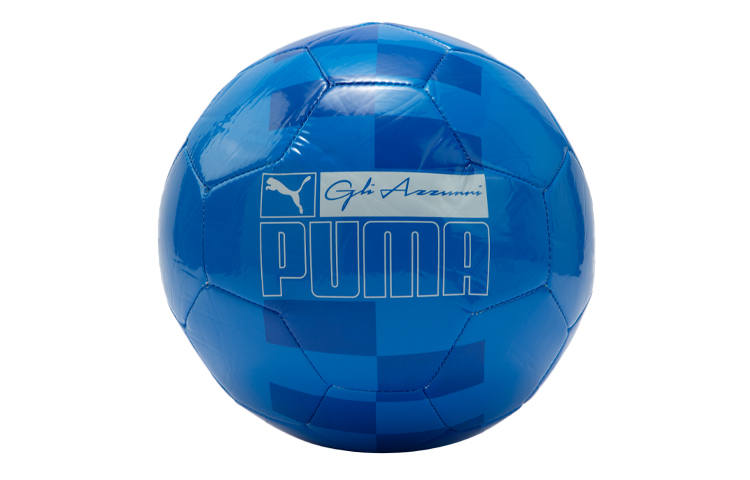 PUMA PUMA Size 5 Machine Stitched Ball Blue Soccer Ball Unisex