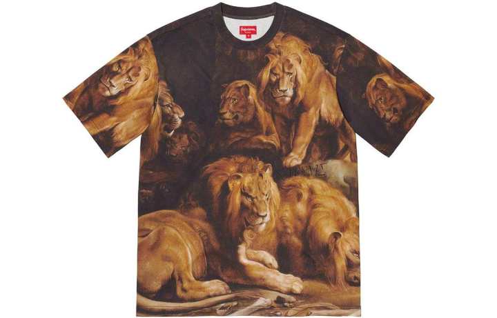 Supreme Supreme FW22 T Shirt Men's Brown