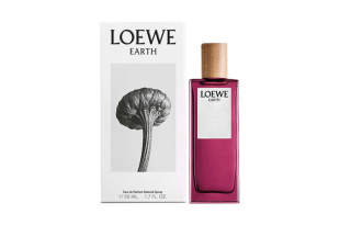 LOEWE Natural Water Perfumes Chypre Floral Eau De Parfum EDP Violet Touch Me Not