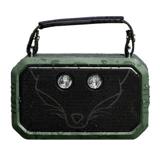 DOSS Speakers DS1033 High Power Subwoofer, Portable Player, Hi Fi Outdoor, Supports TF Card And AUX Interface