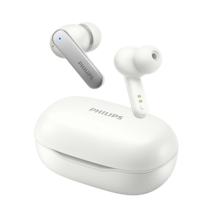 PHILIPS Wireless Headphones
