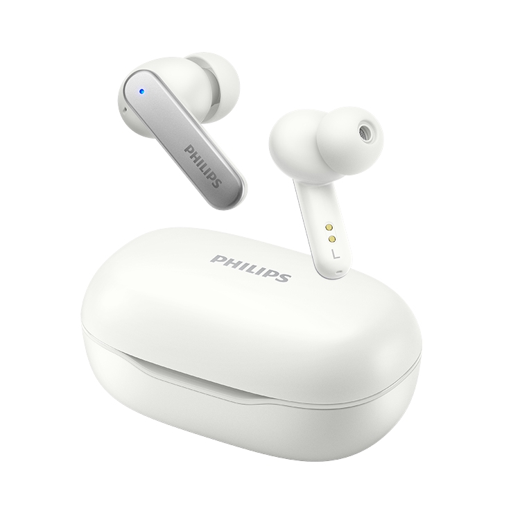 PHILIPS PHILIPS Wireless Headphones