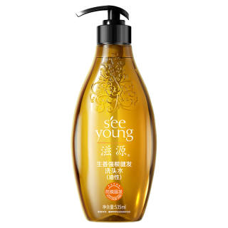 SEE YOUNG Silicone Free Ginger Shampoos Hair Loss Prevention Oil Control Aromatic 535ml
