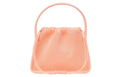 Alexander Wang 【Previous Season】small Ryan shoulder bag