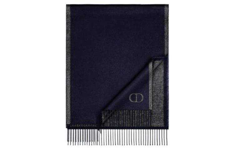 DIOR DIOR Scarves Men's Blue