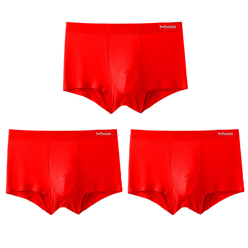 MIIOW MIIOW Men's Boxer Briefs
