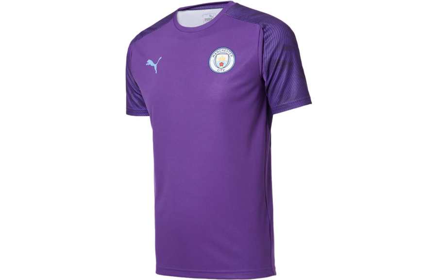 PUMA T Shirts Men's Purple Crew Neck Moderate Straight Fit