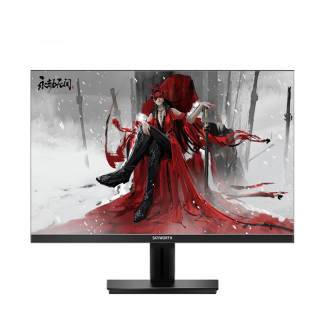 SKYWORTH Monitors