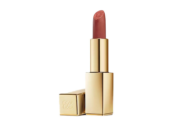 ESTEE LAUDER Gold Tube Moisturizing Lipstick, Velvet Mist Lipstick Collection, Soft & Smooth Satin