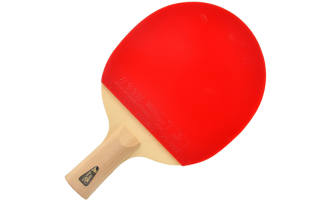 DOUBLE FISH Ping Pong Paddles